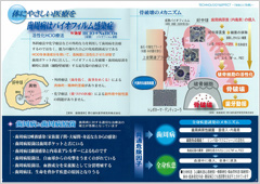 骨破壊のメカニズム