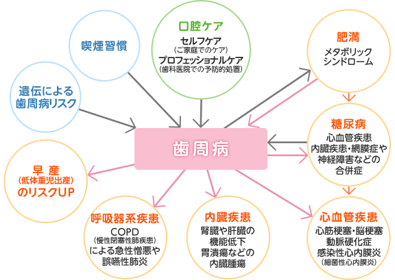 歯周病について